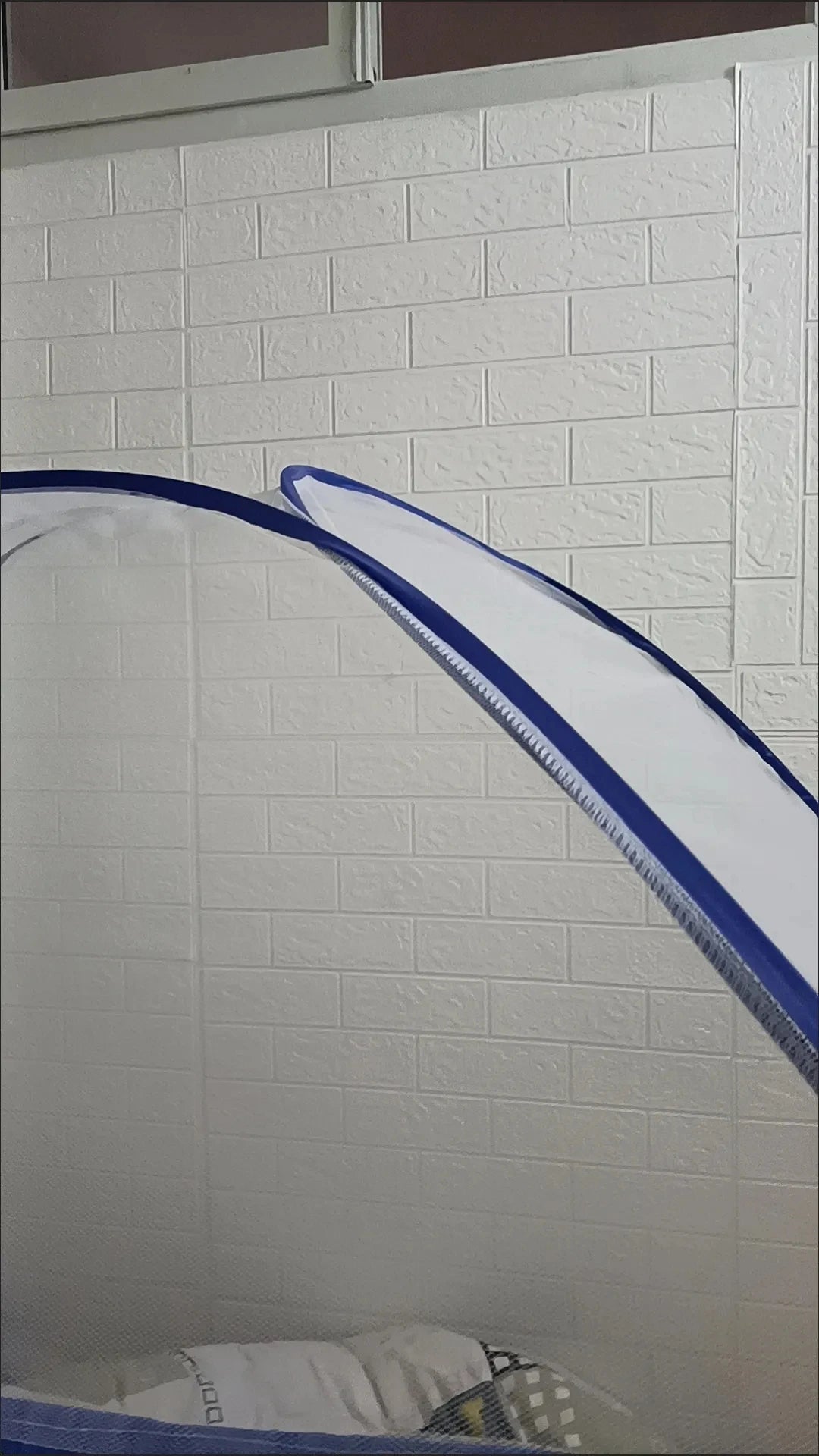 𝐌𝐨𝐬𝐪𝐮𝐢𝐭𝐨 𝐬𝐞𝐭 𝐘𝐮𝐫𝐭
